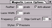 Magnetic Lasso Options