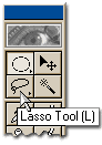 Hold your mouse over each tool to display the tooltips